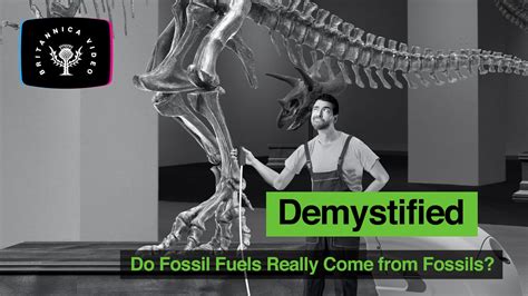 are fossil fuels actually fossils.